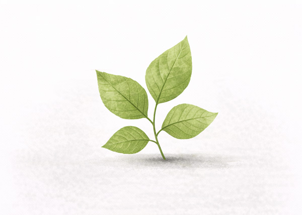 Čisté složení bez zbytečné chemie